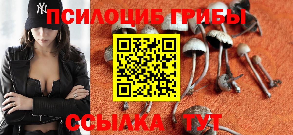 Псилоцибиновые грибы GOLDEN TEACHER Александров