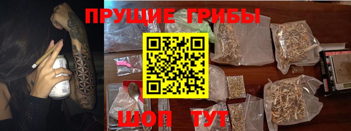 Галлюциногенные грибы Cubensis  Вход с VPN  Александров 